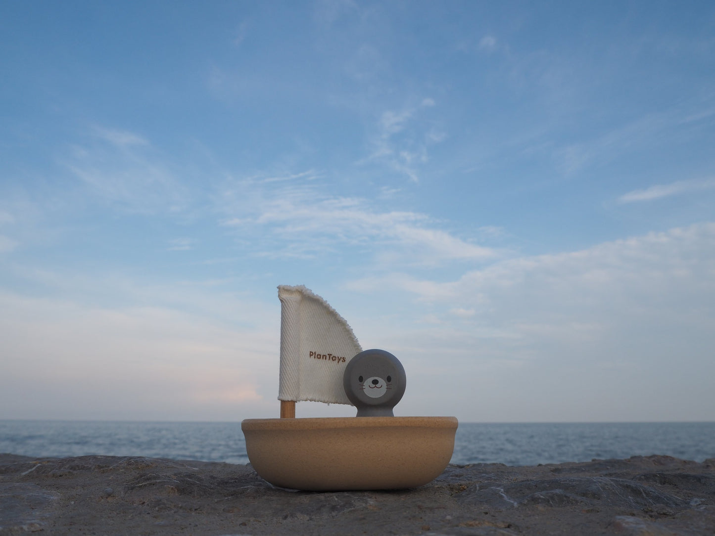 Seal Sailing Boat on the beach