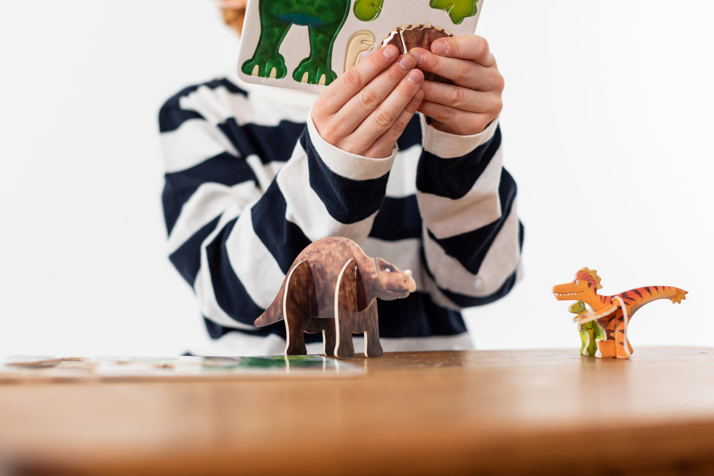 Child building Dinosaur Friends playpress set