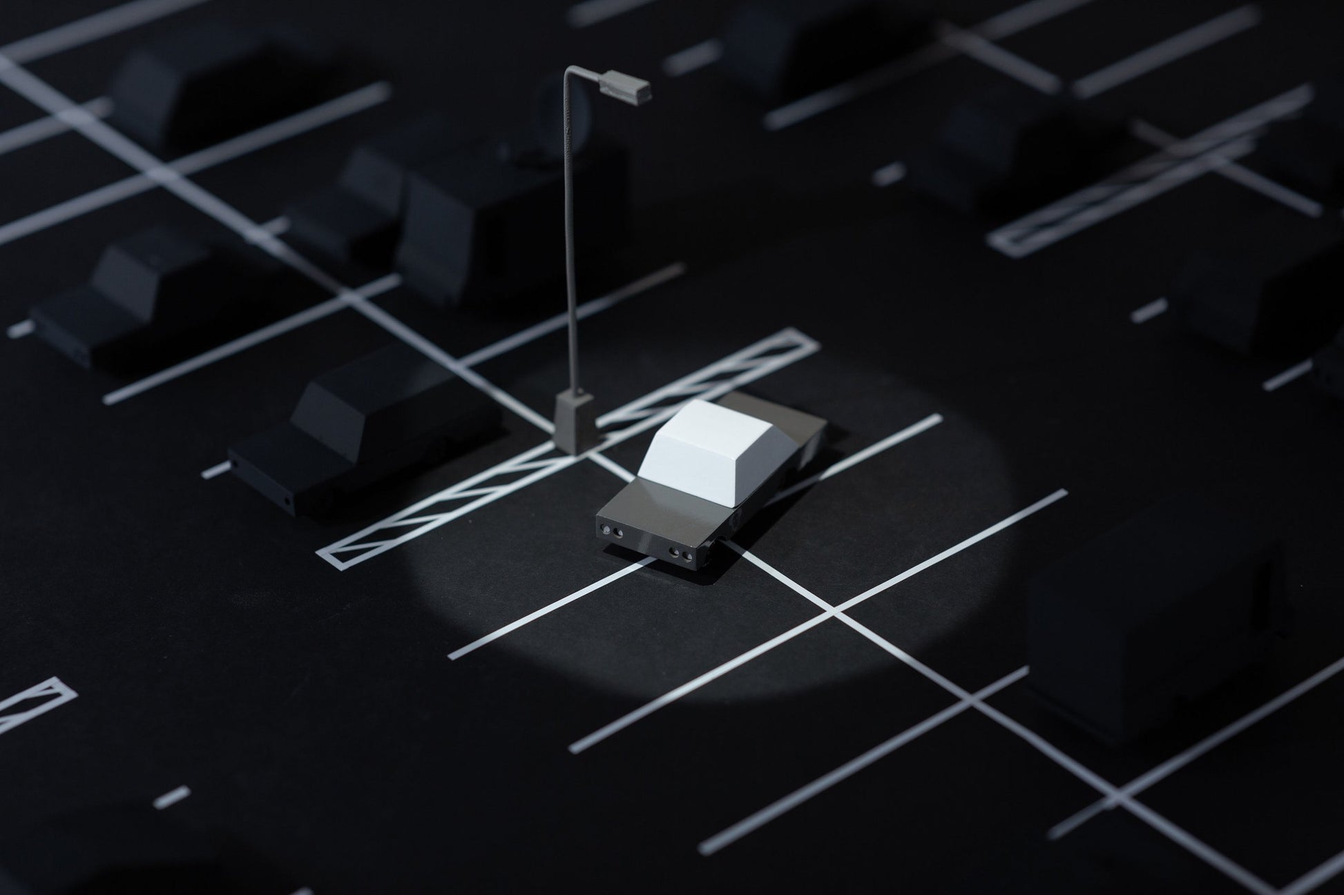 Mouserod in parking lot