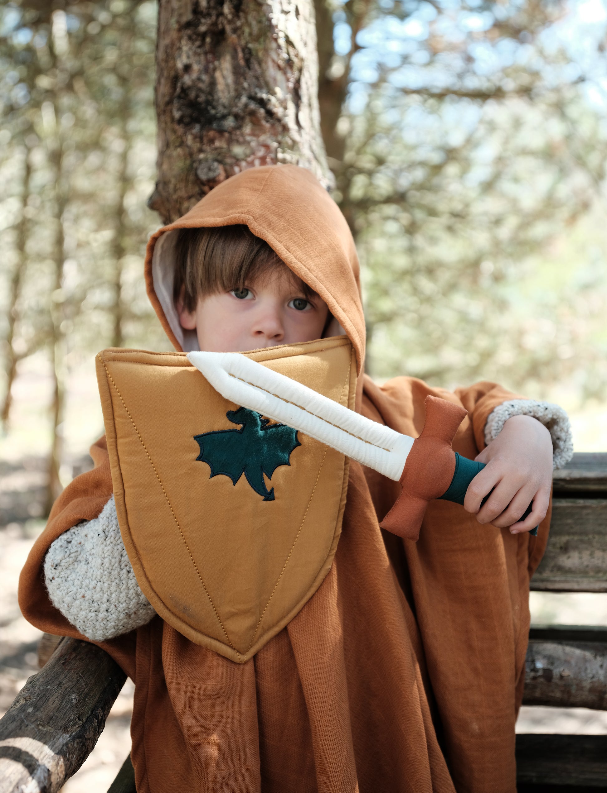 Boy holding shield and sword dress up front view