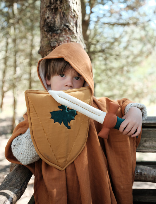 Boy holding shield and sword dress up front view