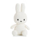 Front view of white Miffy the rabbit