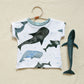 Organic whale short sleeve tee displayed on a coat hanger next to a toy whale